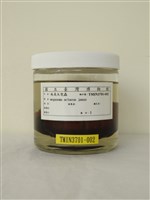 藏品(南美大兜蟲)的圖片